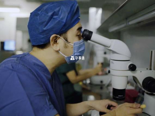 澳門試管技術優勢