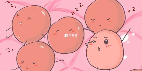 美國試管嬰兒培育的胚胎