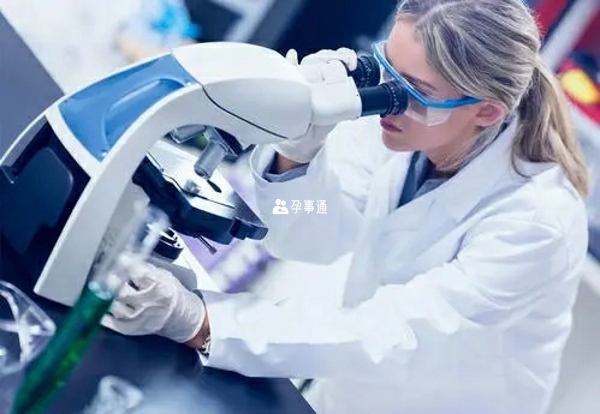 俄羅斯試管嬰兒醫院