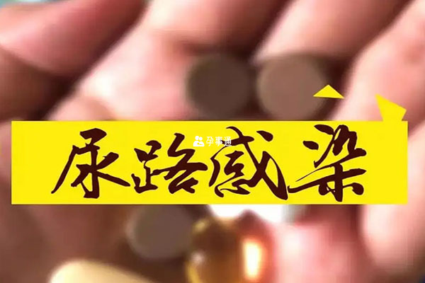 尿路感染可以用的藥物多