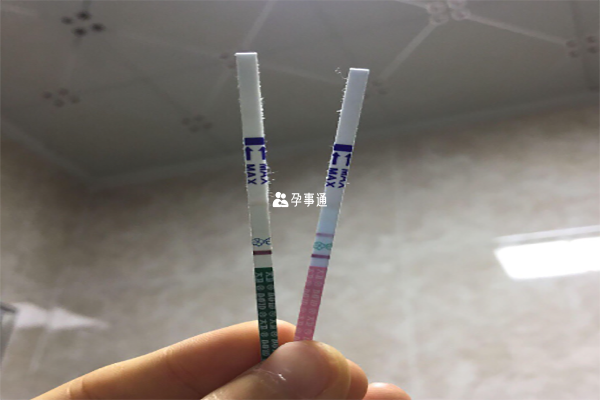 驗孕成功後注意休息