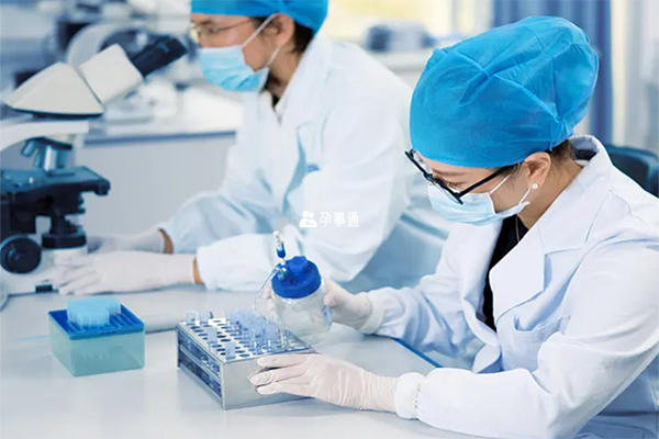 一般生育保險不會報銷試管手術費用