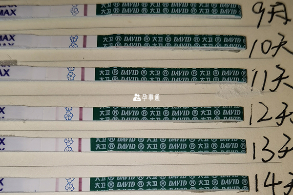 促排11天測出白板是正常現象