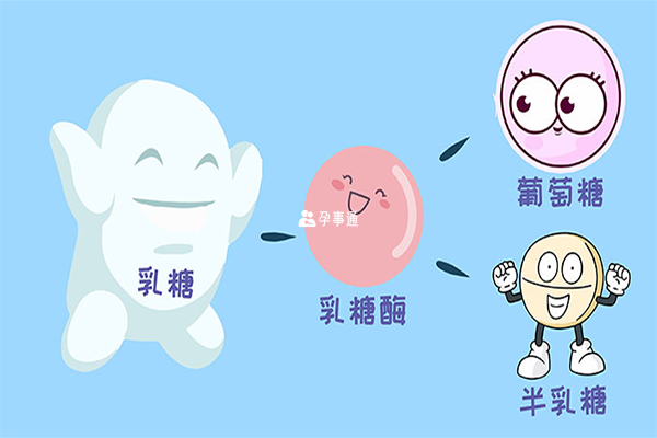 嬰兒乳糖不耐受需要更換奶粉