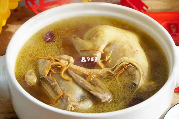 吃鴿子湯可以催奶