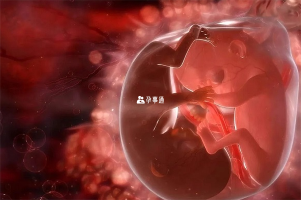孕期喝孕婦奶粉會增加巨大兒的風險