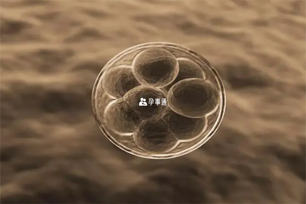 女性O型血會抑制卵子的正常排出