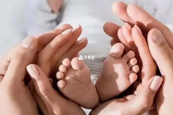 三胎補助獎勵有營養品