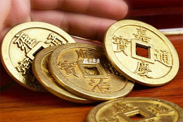 兔年生肖豬可以收穫很多財富