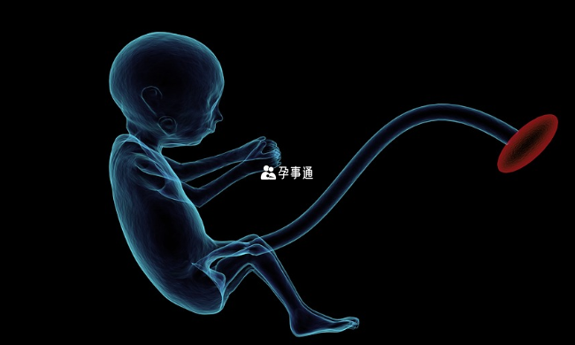 南寧試管嬰兒費用一覽