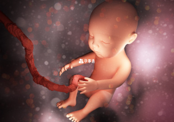 48歲做試管嬰兒成功率多少