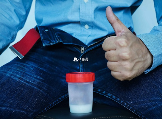 懷孕需要有健康的精子和卵子進行結合