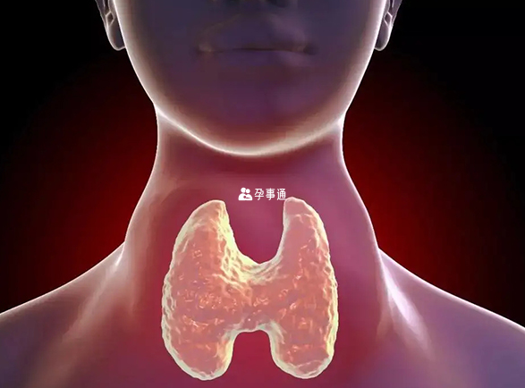 甲亢病人生活中禁吃辣椒