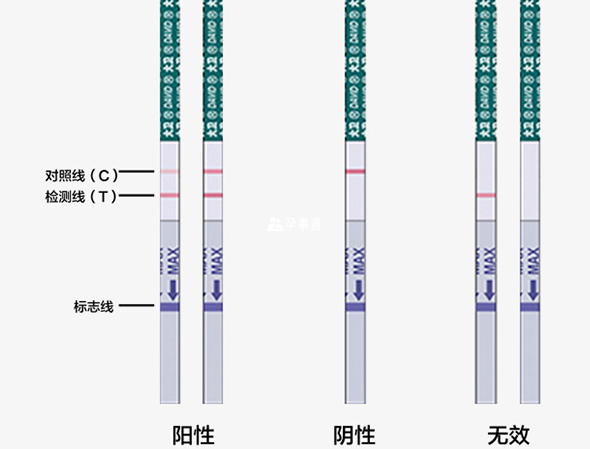 驗孕棒一深一淺表示懷孕和沒懷孕機率一樣