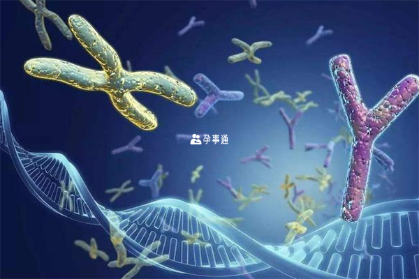 2023成都市婦女兒童中心醫院成功率一覽