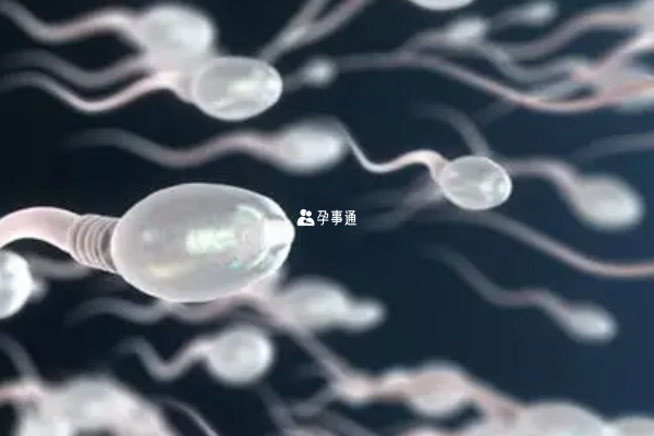 廣州最好的雙胞胎醫院介紹