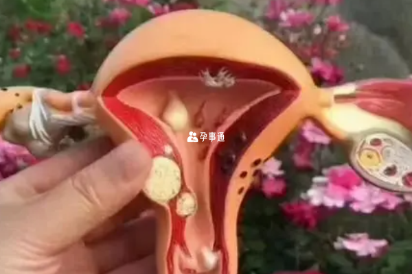 患者的子宮內環境也會影響試管