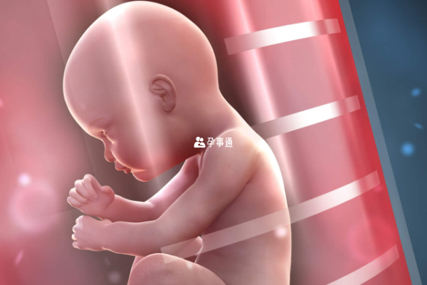 贛州婦幼三代試管嬰兒技術