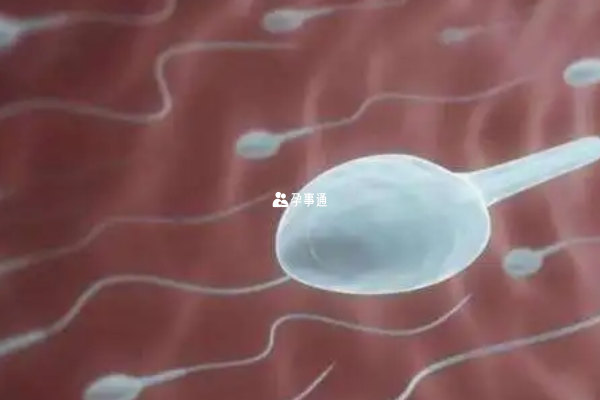 贛州婦保醫院可以做試管包男孩手術