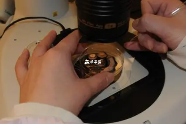 徐州私立生殖中心名單一覽