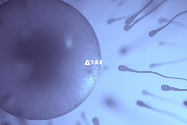 吉林供卵試管包成功的醫院一覽