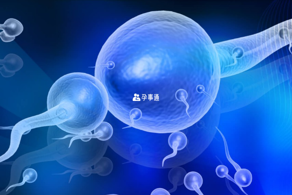 鞏義公立供卵試管機構分享