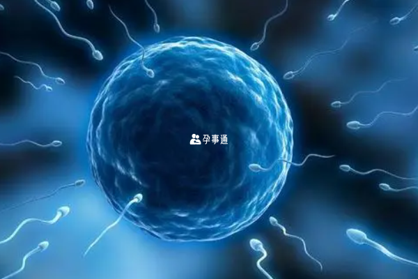提高衢州婦幼試管成功率的方法分享