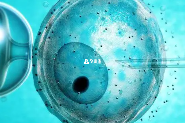 浙江台州供卵試管費用明細