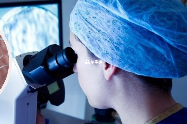 浙江試管生男孩的醫院推薦