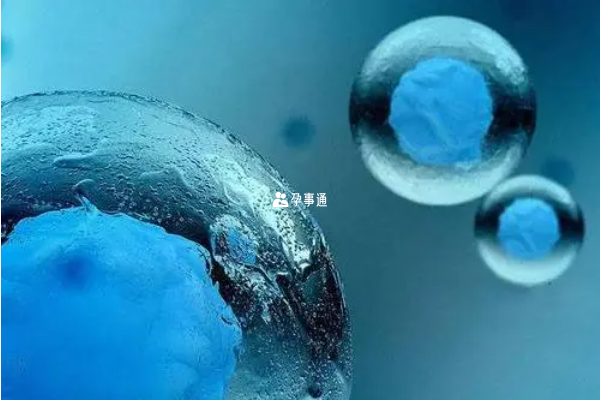 浙大醫院試管成功率一覽