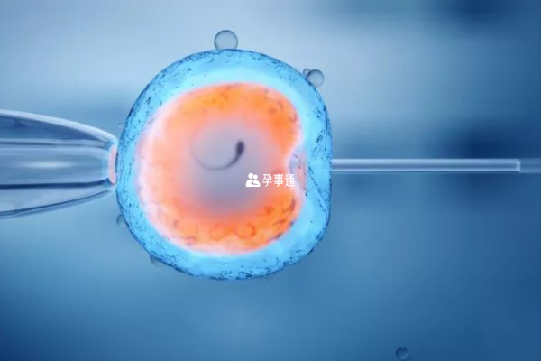 浙江大學三代試管費用明細
