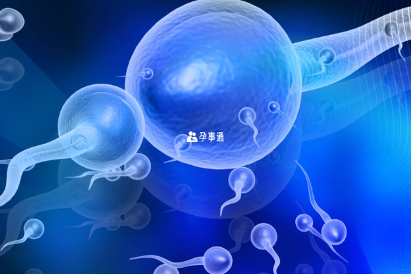 舞鋼人工授精醫院名單分享