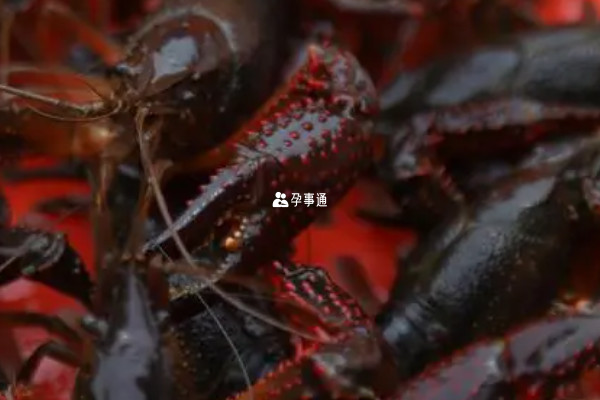 懷孕七個月的孕婦能不能吃小龍蝦解析