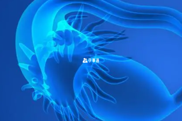 麗水三代試管嬰兒的費用一覽