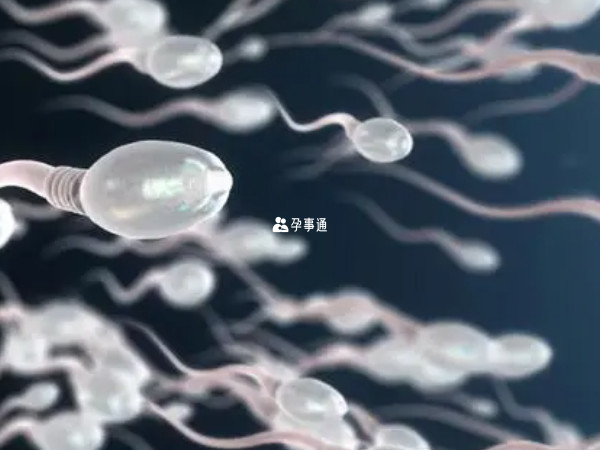 上海十院試管生男孩的花費明細