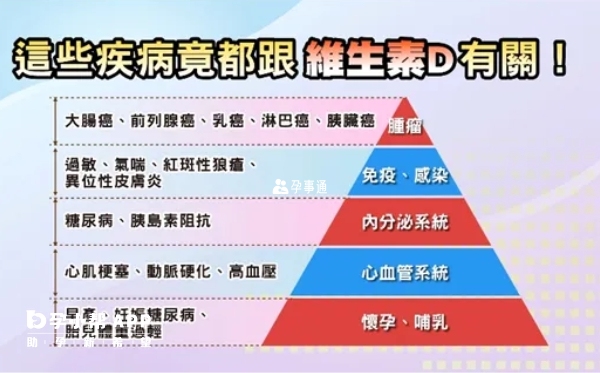 維生素D分為D2和D3