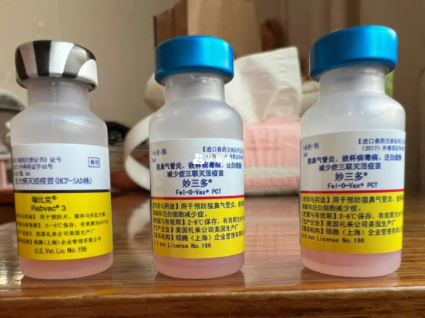 五聯疫苗是二類疫苗