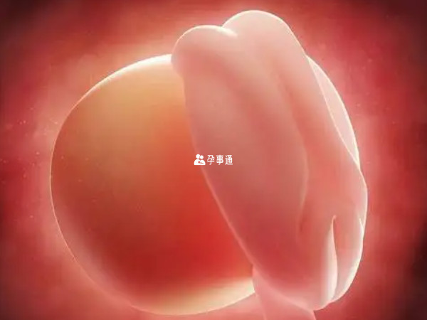 每個孕婦的胎兒生長髮育狀況各異