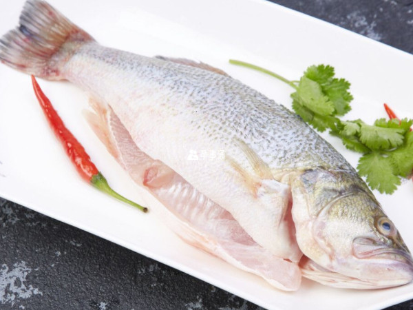 孕婦吃鱸魚好處多