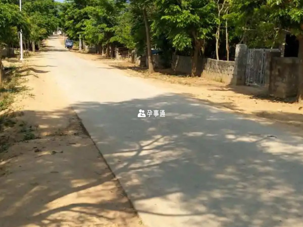 環境衛生好的情況下可以不打二類疫苗