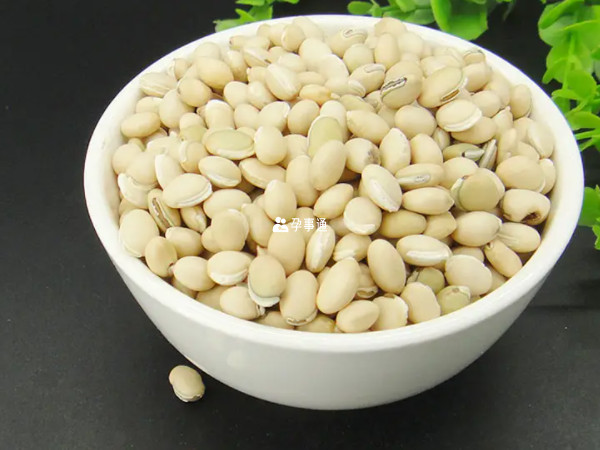 吃白扁豆可以治療脾虛