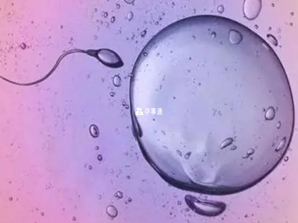 提高卵子質量