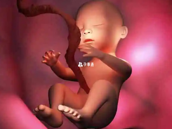封閉抗體是一種對胚胎起保護作用的抗體