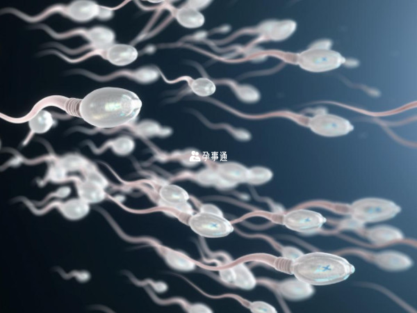 異常形態精子是指男性精液中所包含的精子形態存在畸形