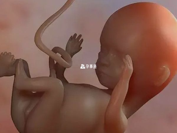 2024年臘月生孩子的吉日