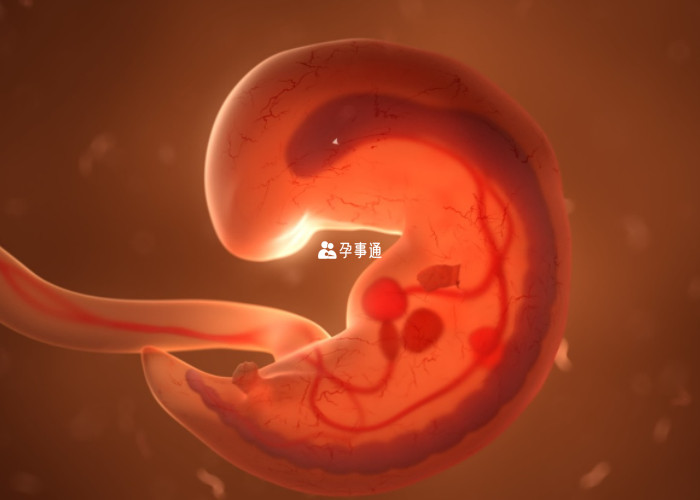 趙華擅長治療不孕症