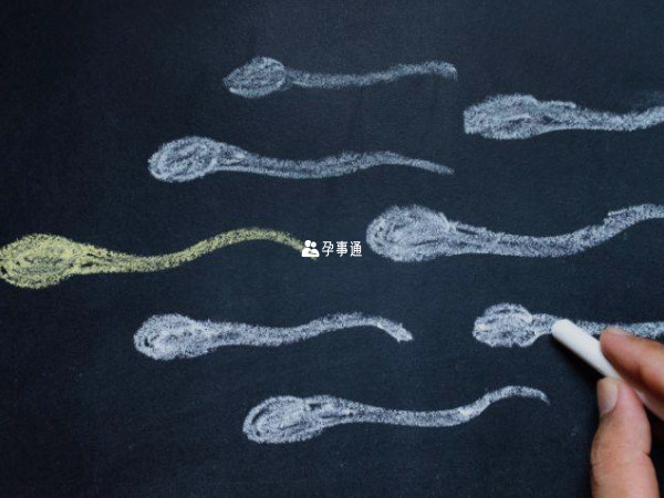 治療無精症經方