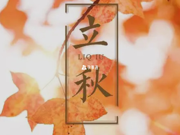 立秋節氣出生的龍寶寶運勢