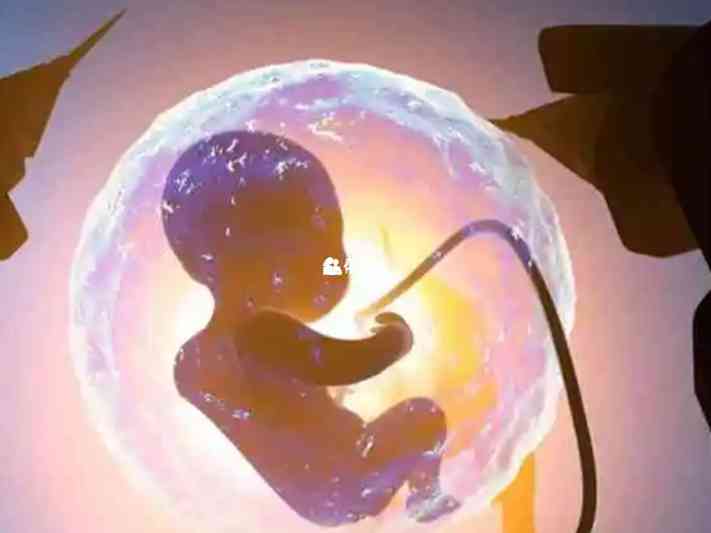 生處女座寶寶幾月懷孕