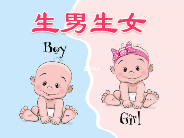 後腰空生男生女概率各一半